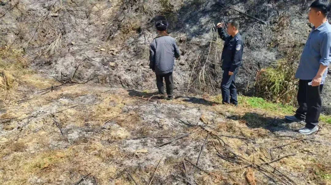 “烧杂草”引发山火，两村民被拘！