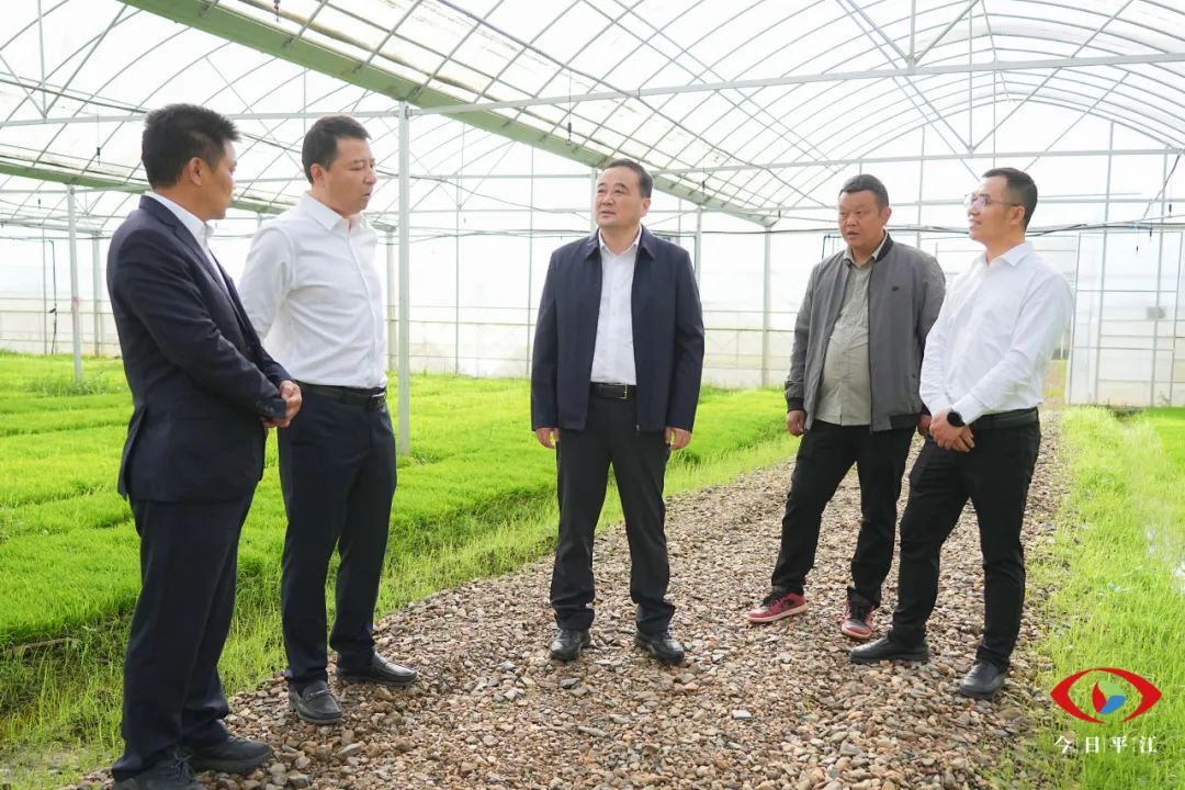 刘正仁赴梅仙、大洲、上塔市、板江开展调研