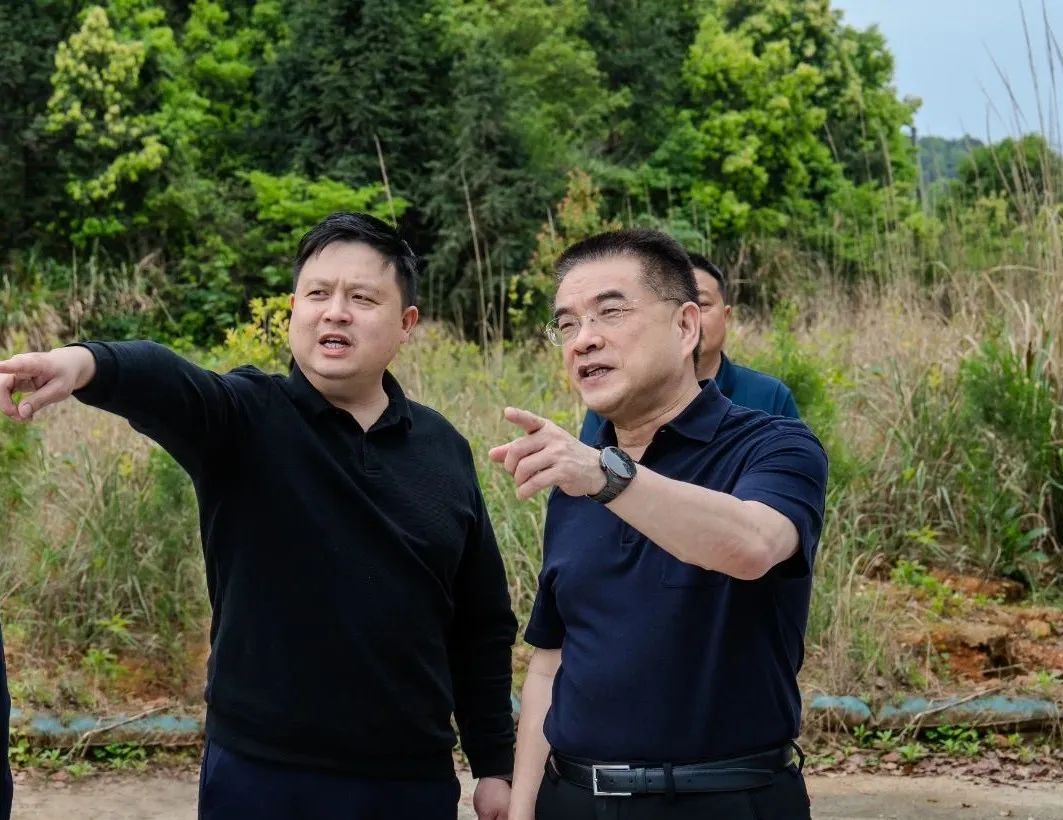 李勇到我县调研环境与资源保护工作
