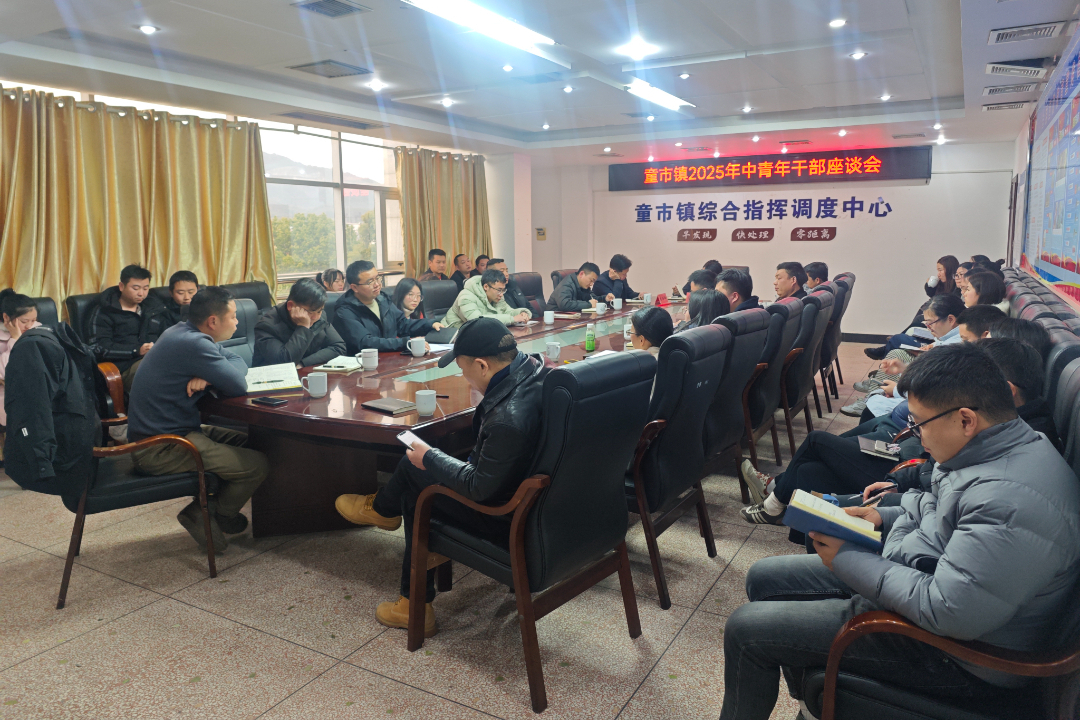 同声、同行、同传承 ——童市镇召开“三维聚力”座谈会