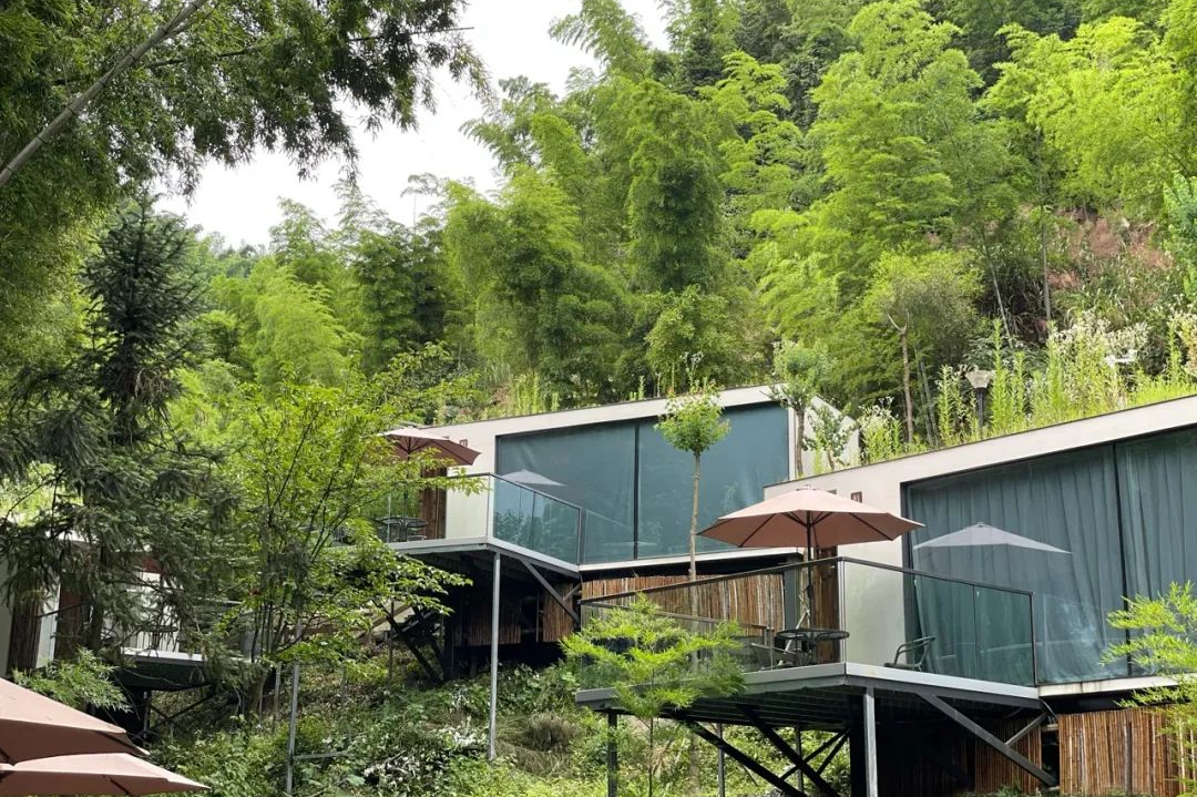 开窗见山！来平江“宿”说不一样的小长假