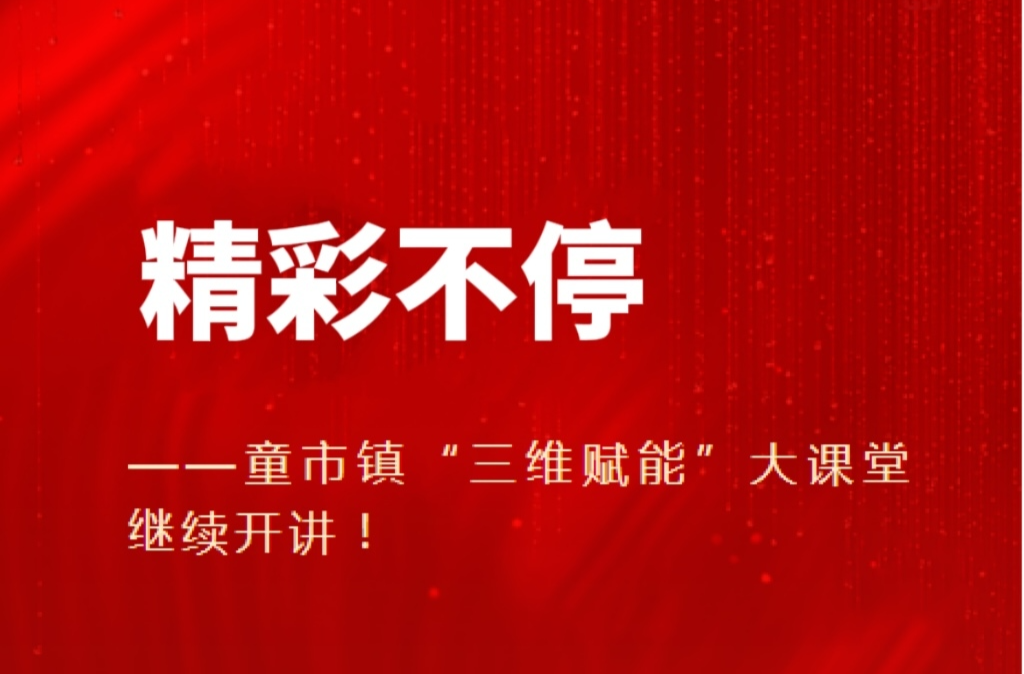 精彩不停——童市镇“三维赋能”大讲堂继续开讲!