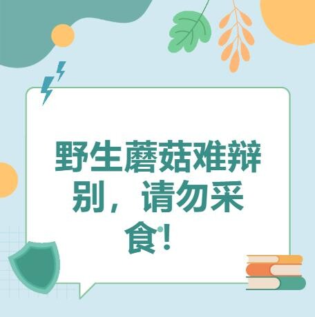 野生蘑菇难辨别，请勿采食！
