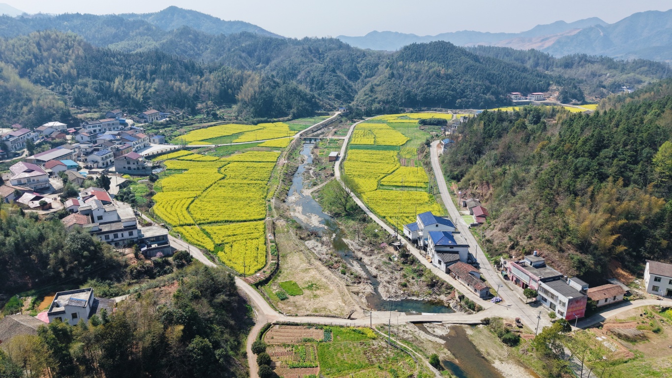 『活力大洲·发展有我』——黄沙村