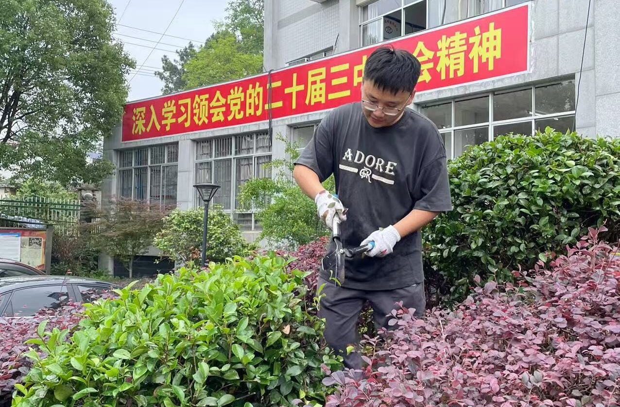 党建引领聚合力，文明创建展新风——童市镇开展机关卫生大扫除活动