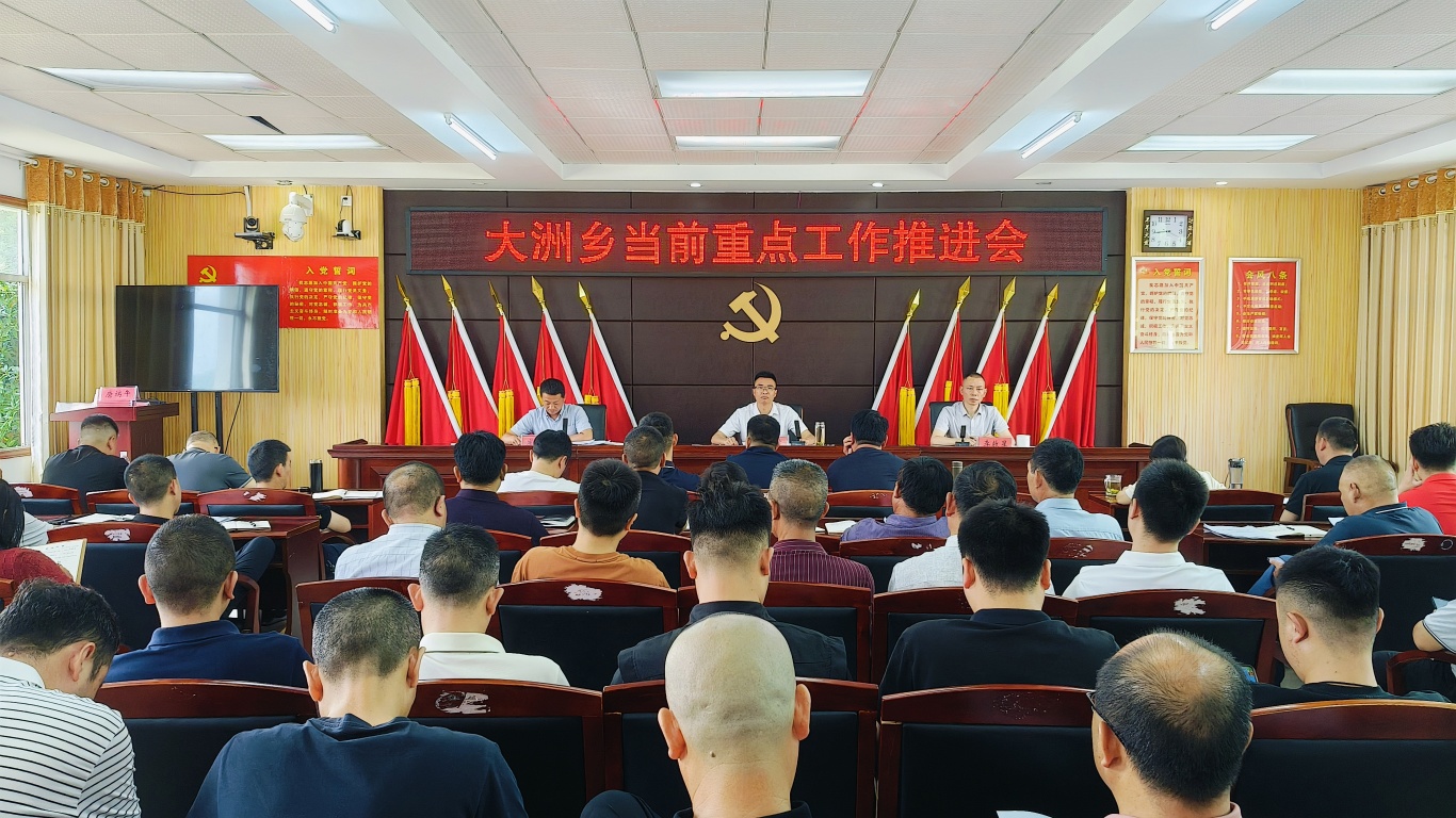 大洲乡召开当前重点工作推进会