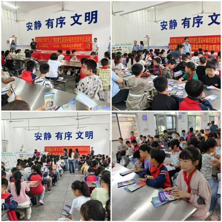 安定镇：筑牢安全防线 守护教育净土