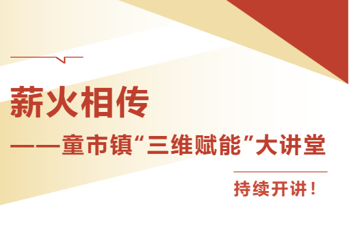 薪火相传——童市镇“三维赋能”大讲堂持续开讲！
