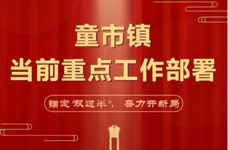锚定"双过半"， 奋力开新局——童市镇召开当前重点工作部署会议