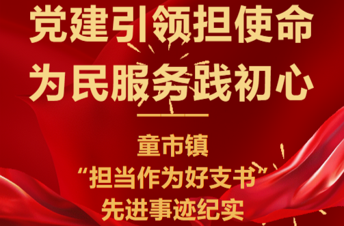 党建引领担使命 为民服务践初心 ——童市镇“担当作为好支书”先进事迹纪实