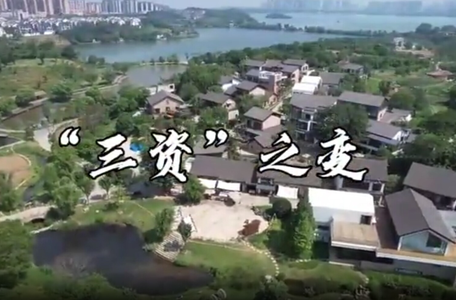 “三资”之变