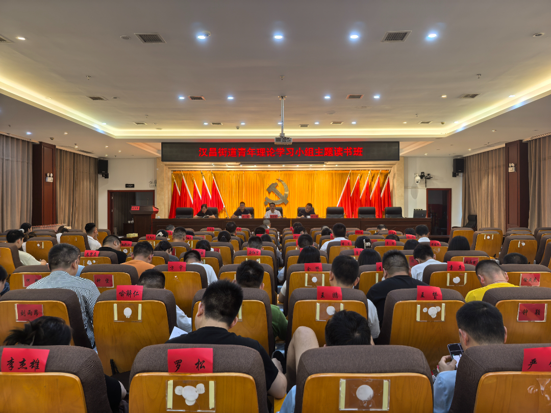 青春课堂锤炼优良作风，提能砺为勇担时代重任——汉昌街道举办第三期青年干部夜校