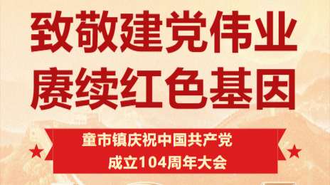 致敬建党伟业，赓续红色基因——童市镇庆祝中国共产党成立104周年大会