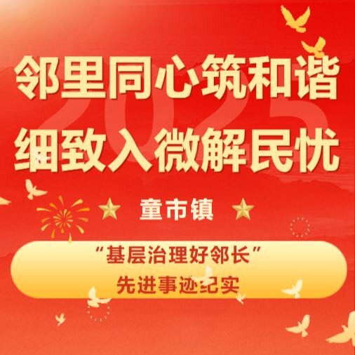邻里同心筑和谐，细致入微解民忧 ——童市镇“基层治理好邻长” 先进事迹纪实