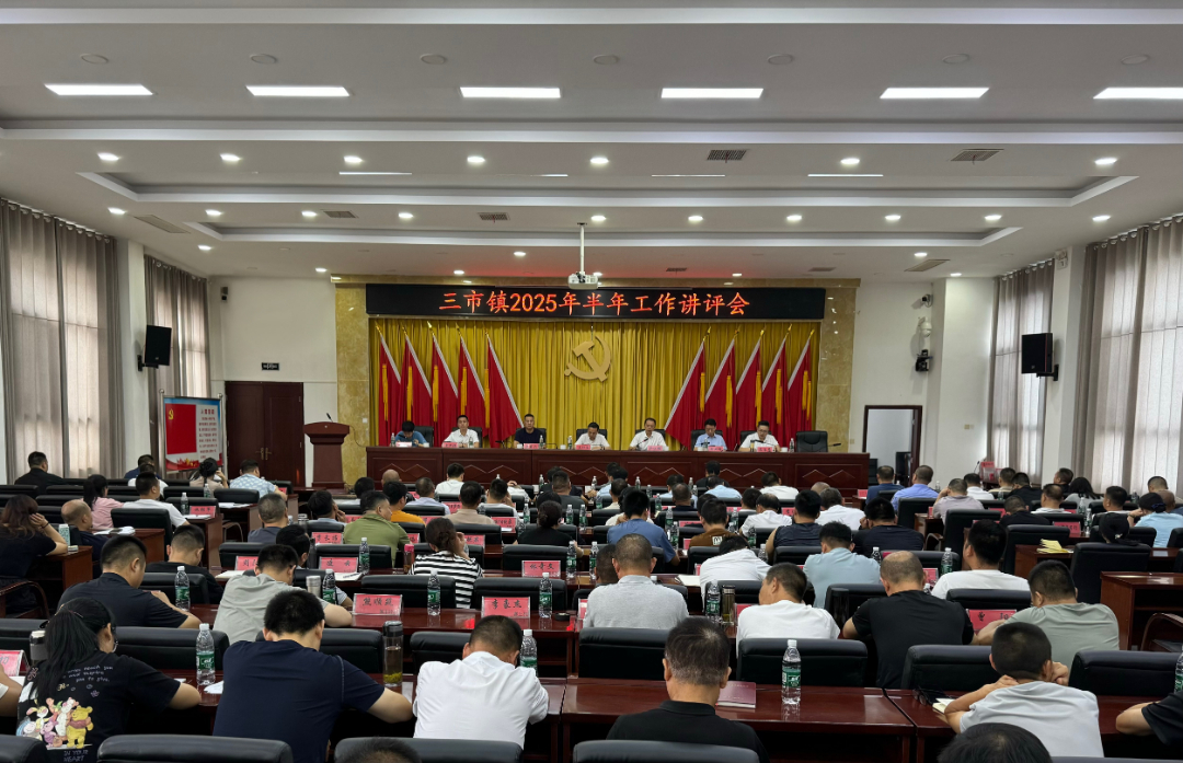三市镇召开2025年半年工作讲评会