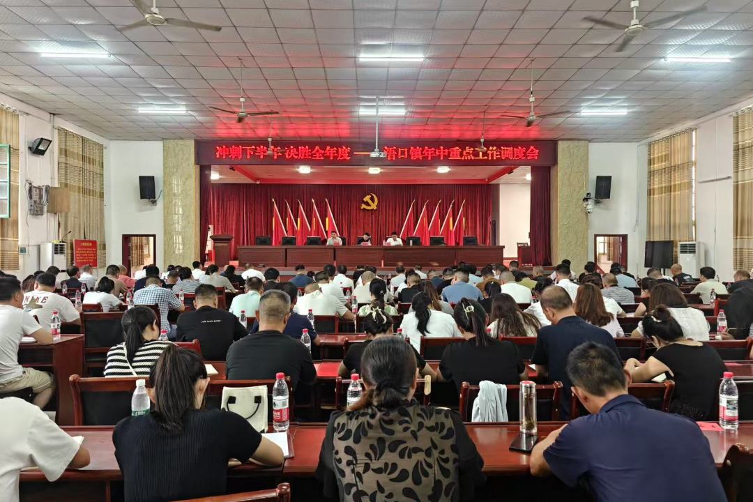 冲刺下半年  决胜全年度——浯口镇召开年中重点工作调度会