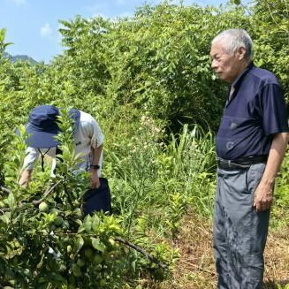 梅仙镇：筑牢质量防线 守护绿色好“食”光