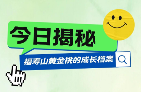 今日揭秘||福寿山黄金桃的“成长档案”