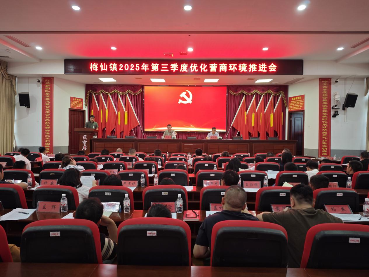 梅仙镇：聚势谋远优环境 实干笃行促发展