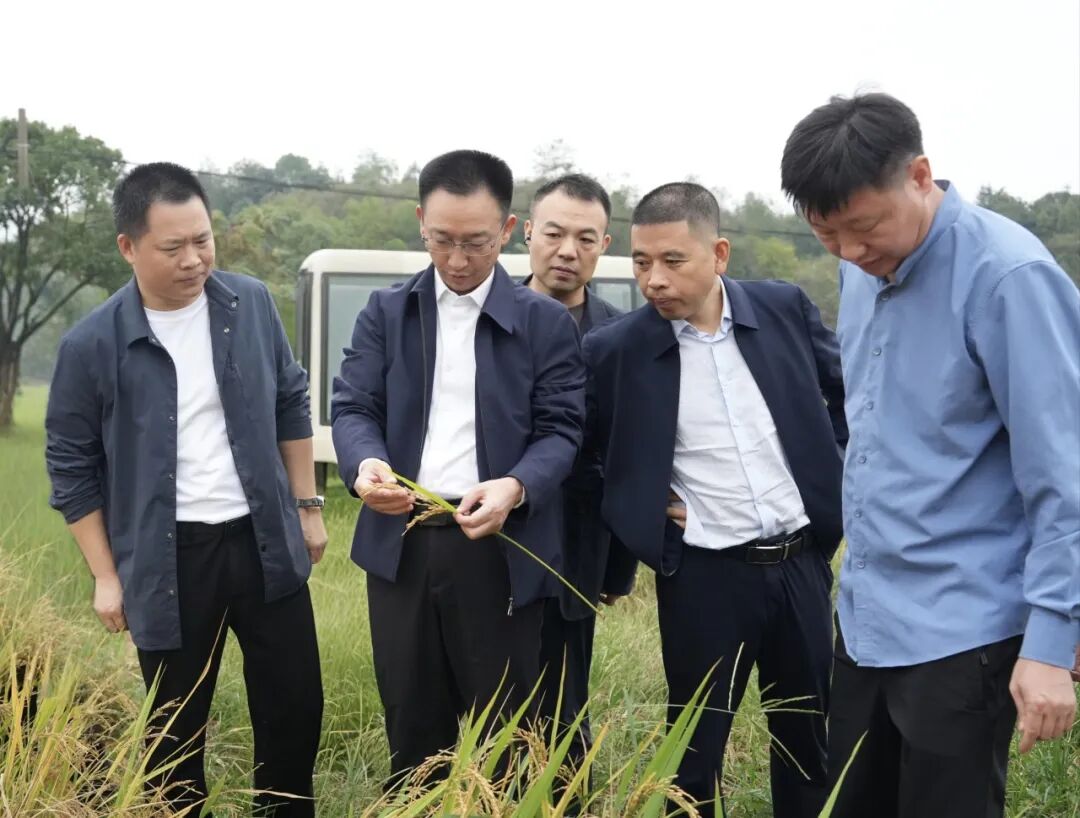 彭方建调研督导秸秆综合利用、秸秆限烧及油菜生产工作