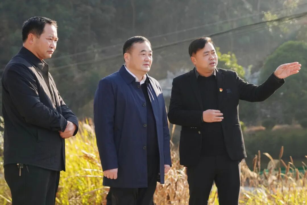 刘正仁到瓮江镇调研乡村振兴工作