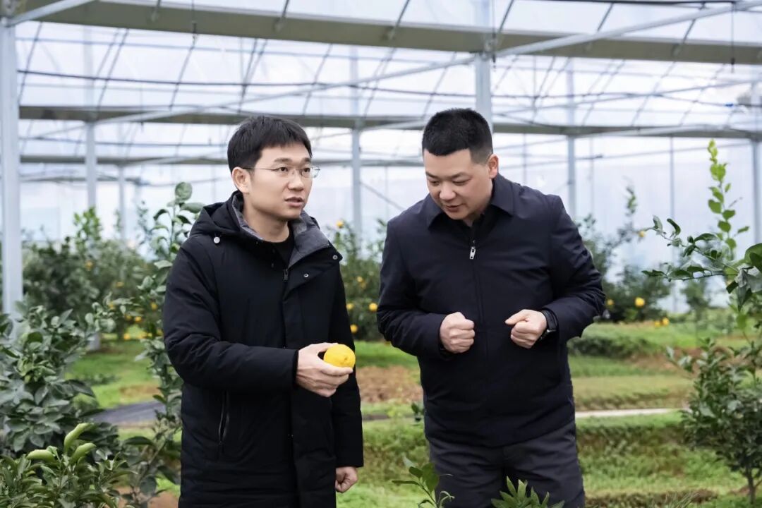 阳建赴向家镇、园艺示范中心、汉昌街道、天岳街道调研