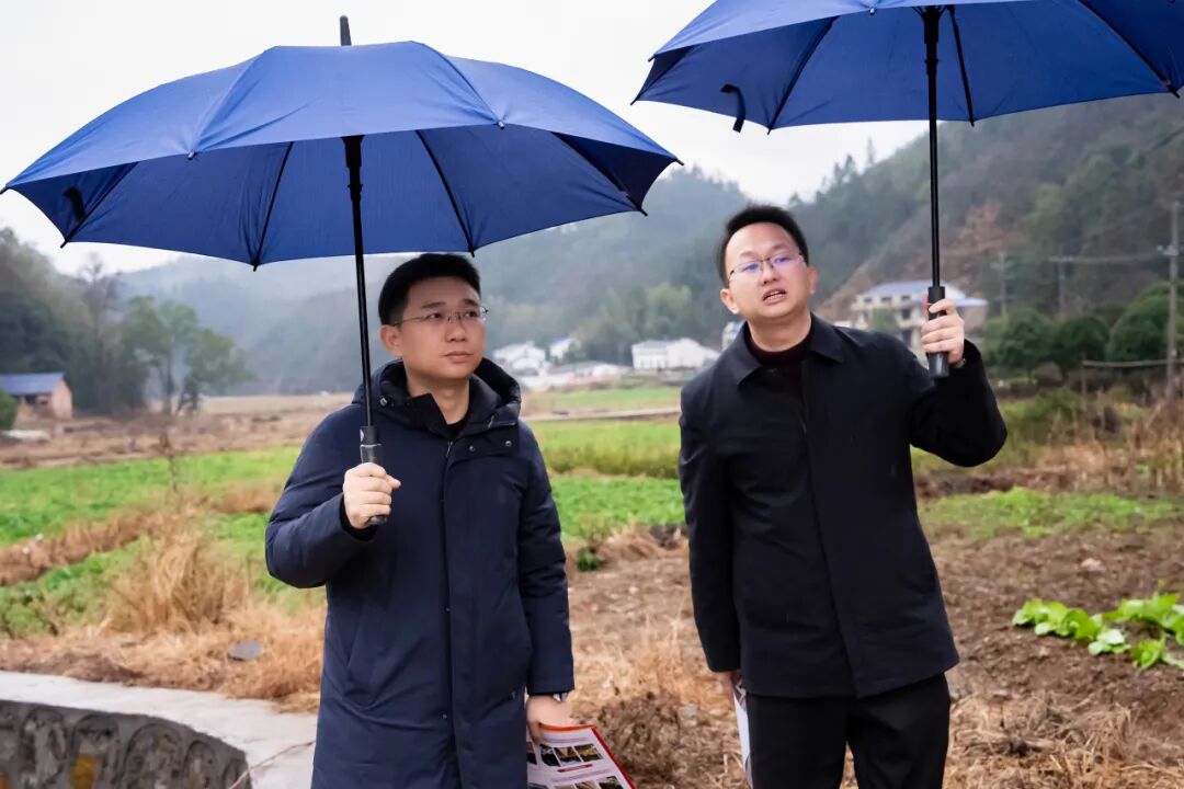 阳建赴乡镇督导低温雨雪天气防范应对工作