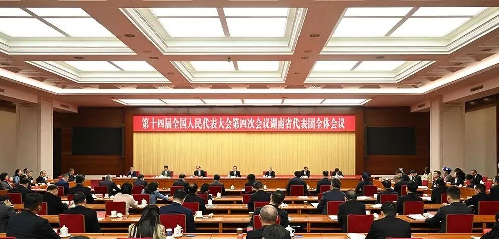 “平江声音”上两会，都是老百姓关心的事儿