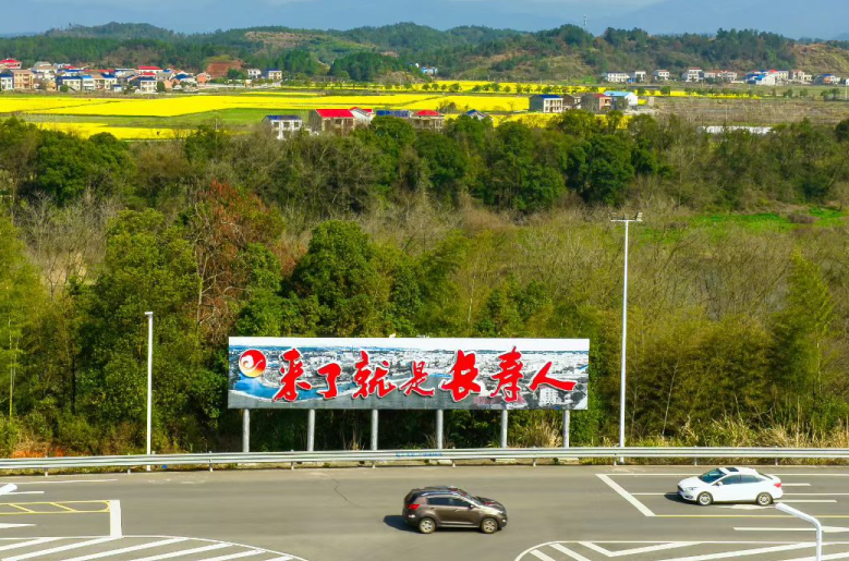 总要来一次长寿