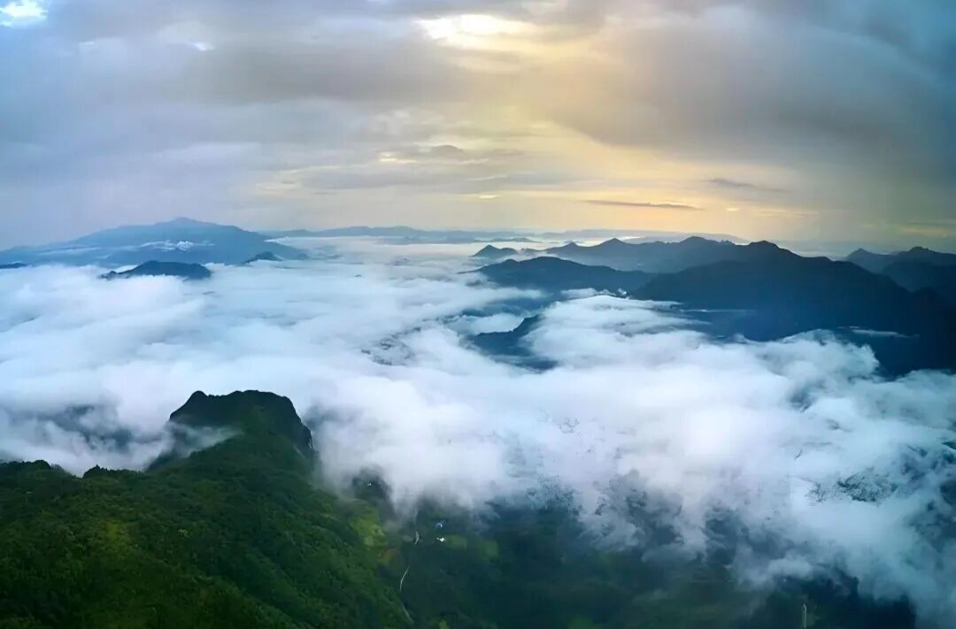 总要来一次加义