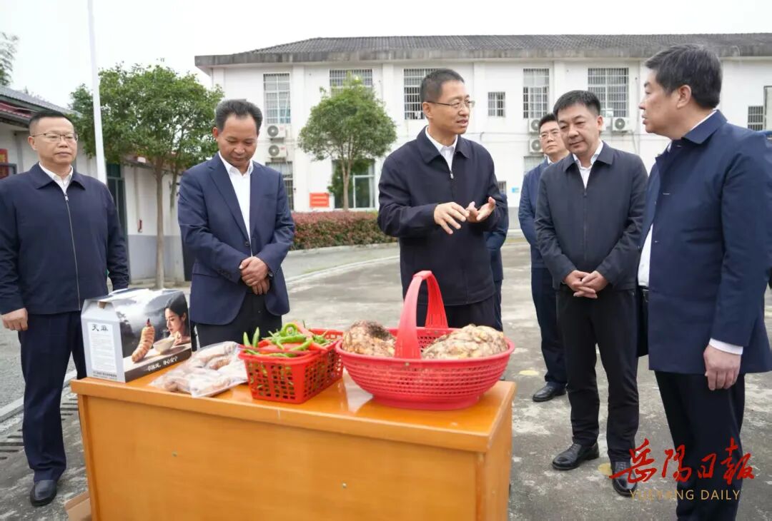 谢卫江在平江县调研农业农村工作