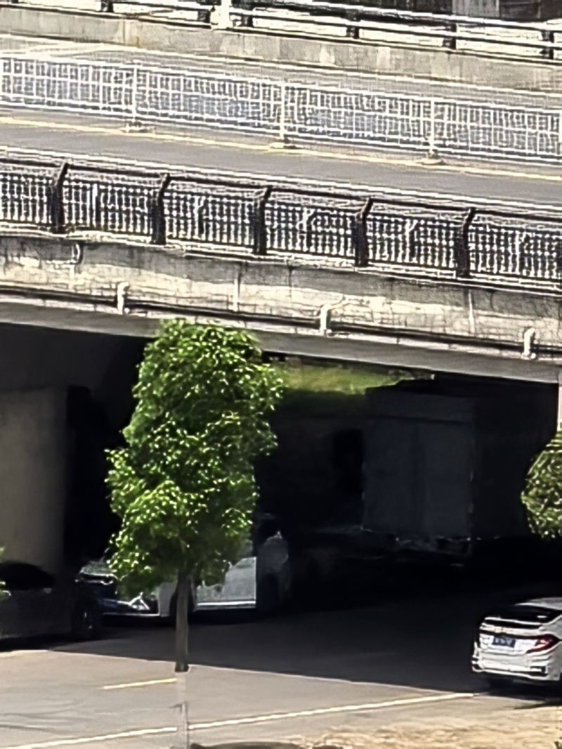 简青公园足球场旁桥洞下长期有流浪汉驻扎